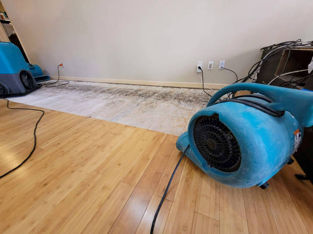 Professional Basement Flood Cleanup technician working in Pepeekeo, HI